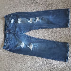 Vigoss the thompson jeans. Sz 18